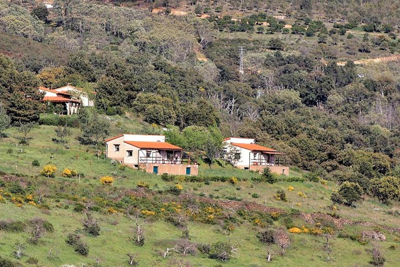 Cielo Abierto Apartment Berzocana Exterior photo